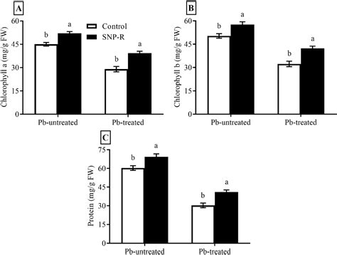 Exogenously Applied Sodium Nitroprusside Mitigates Lead Toxicity in ...