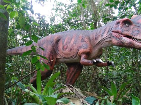 GTC COSTA RICA (2026) All You Need to Know BEFORE You Go (with Photos ...