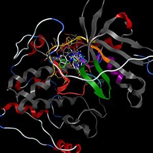 FORTUNE DISHWASHER STARTER COMBO - Dishwasher Detergent 1kg (Pack of 1 ...