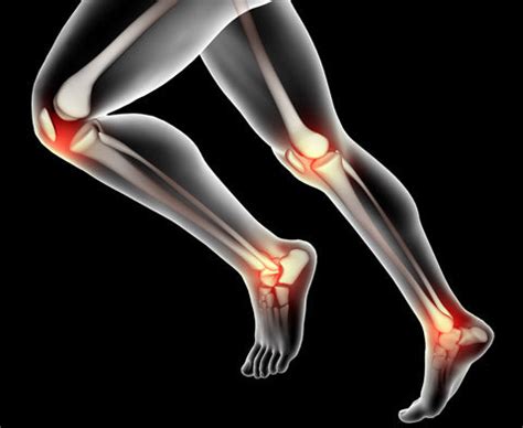 Lean Body mass: Body composition parameters without fat