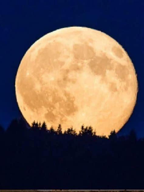 चांद पर भी मिलेगा 4G नेटवर्क, Nokia ने शुरू की तैयारी, जल्द होगा लॉन्च ...