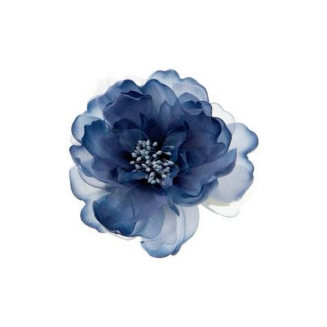 Pin by tessa on layouts in 2025 | Blue flower wallpaper, Blue flower ...