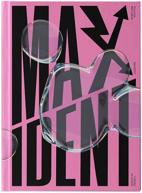 Buy Stray Kids [ MAXIDENT ] STANDARD EDITION album T-CRUSH ver Online ...