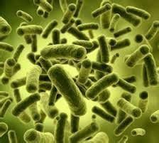 Amine Bactericide,Liquid Bactericide,Bactericide Suppliers Gujarat In India