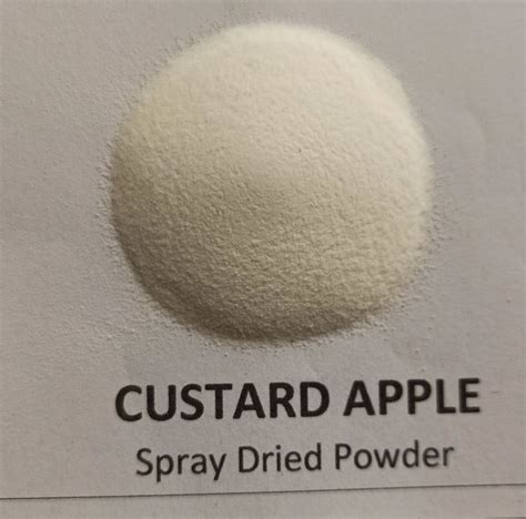 Spray Dried Custard Apple Powder Manufacturer, Supplier from Surendranagar