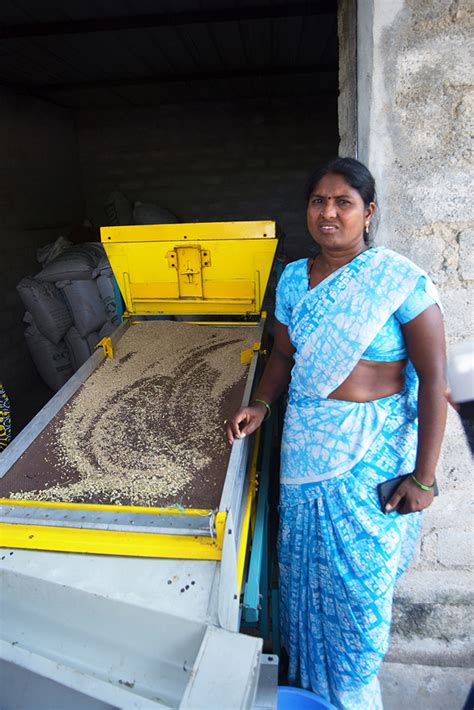 How natural farming is growing international alliances in Karnataka and ...