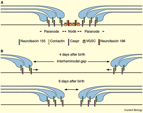 Image result for Design of a Basic Computer