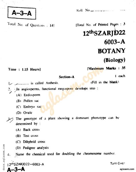 Botany Vidio 12 的图像结果