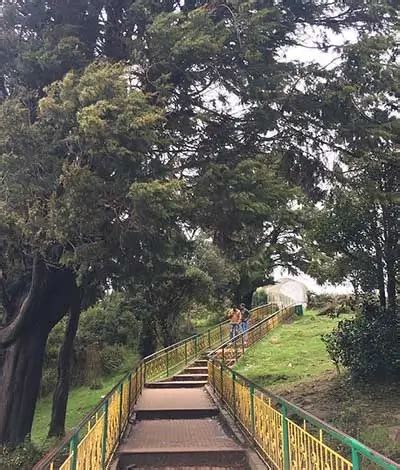 Doddabetta Peak Ooty – Entry Fee, Timings, Viewpoint & Telescope Guide 2025