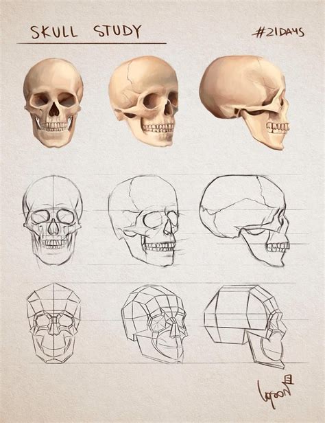 Image result for Skull Drawing Tutorial