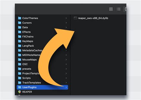 Image result for SWS Extension Auto Color