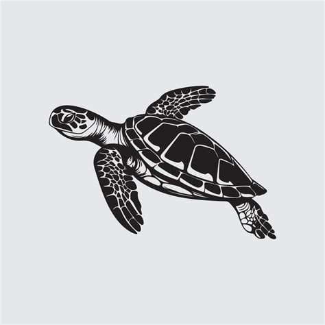 Image result for Turtle Graphics Art