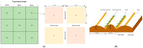 Analysis and Research on Production Effects of Full-Film Double Ridge ...