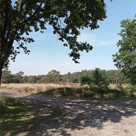 RUCPHENSE BOSSEN (2025) All You Need to Know BEFORE You Go (with Photos ...