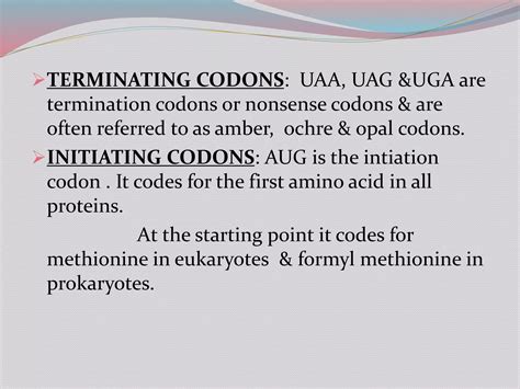 What Is Termination Codon