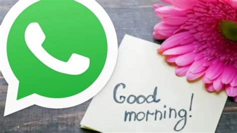 whatsapp account may be blocked if you good morning good night messages ...