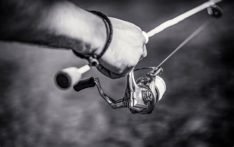 Fishing Line Types 的图像结果