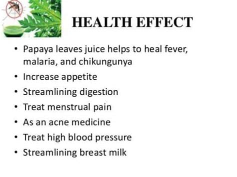 PAPAYA LEAVES EXTRACT