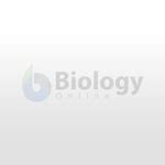 Proton gradient Definition and Examples - Biology Online Dictionary