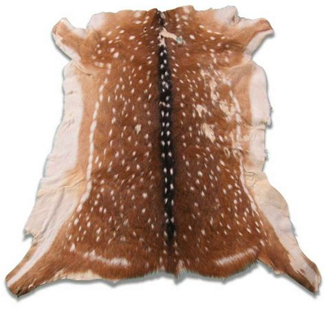 Deer Hide Rugs | Bryont Blog