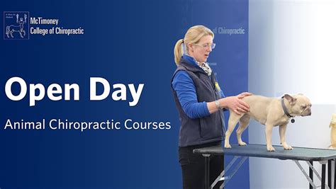 McTimoney College of Chiropractic Animal Open Day - Thurs. 20 ...