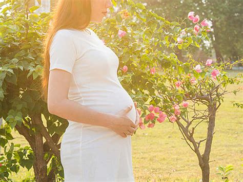 Zika virus in India: Facts you need to know - What is Zika? | The ...