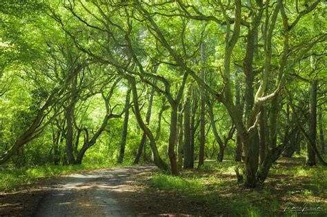 Fine Art America Review | Pros and Cons