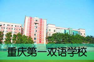 重庆第一双语学校2023年招生代码