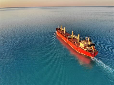 Export 的图像结果