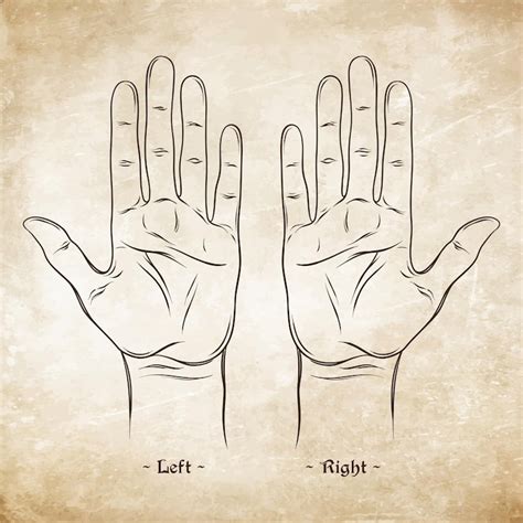 Page 7 | Palmistry symbols Images - Free Download on Freepik