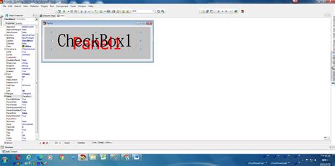 Image result for Delphi Checkbox