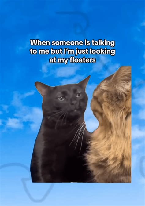 Image result for Eye Floaters Meme