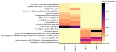 Epiphytic Bacterial Community Analysis of Ulva prolifera in Garorim and ...