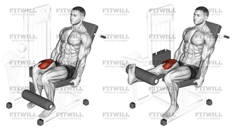 Lever One Leg Extension: Exercise Guide, Video, Techniques, Benefits ...