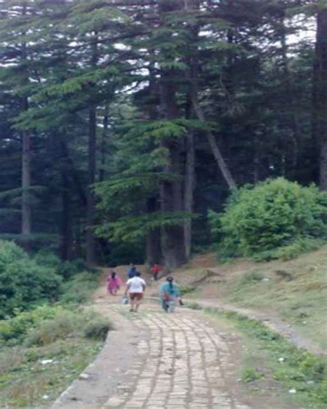 StayApart Hotels in Patnitop | Best Hotels in Patnitop | Book Hotels in ...