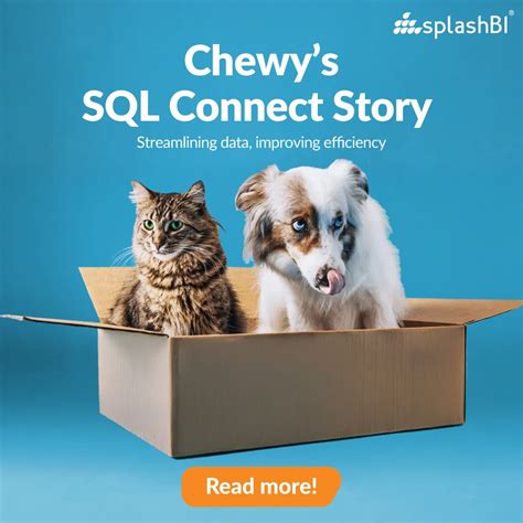 Image result for Splashbi SQL> Connect Explain Plan