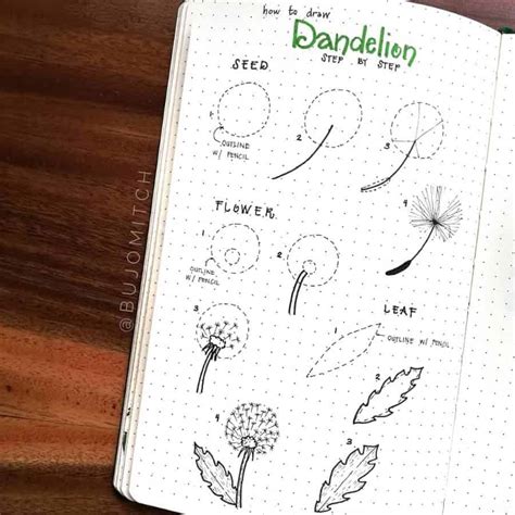 Image result for Easy Draw Spring