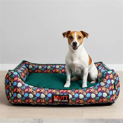 Stars N' Shells Lounger Bed – Mutt of Course