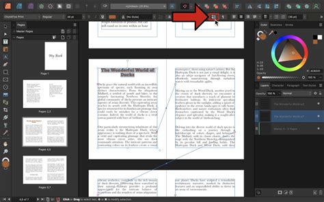 Image result for Affinity Publisher Poster Tutorial