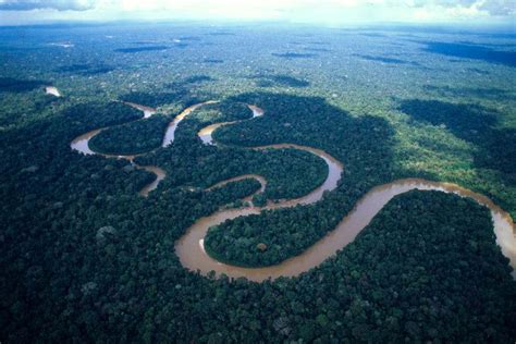 Fotos Del Rio Amazonas