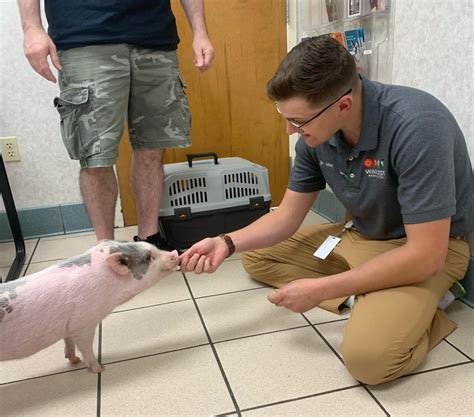 Best Veterinary Hospitals in Wilmington - Windcrest Animal Hospital Group