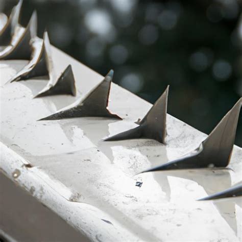 Pigeon Spikes 的图像结果