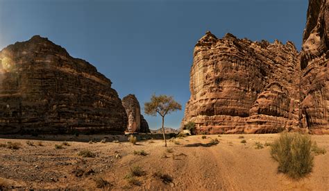 Photo of tree in arid landscape - VAST