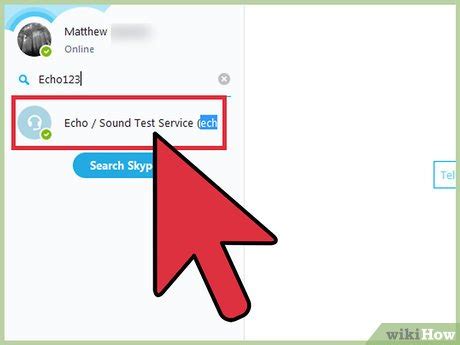 Test Skype Connection 的图像结果