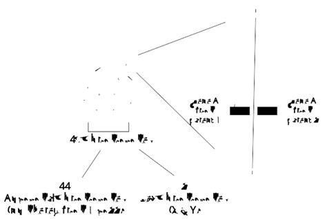 Image result for Difference Between Genetics or Inheritance