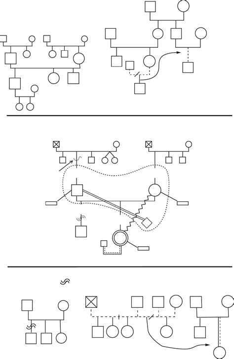 Image result for Genogram Patterns
