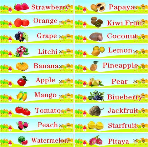 儿童英语早教水果类,儿童英语单词水果,儿童英语水果歌_大山谷图库