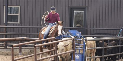 Breakaway Roping Lessons 的图像结果