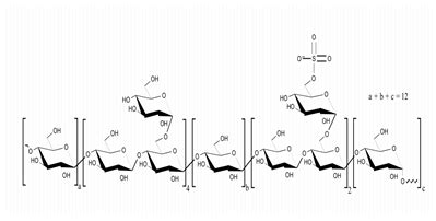 Marine Microbial Polysaccharides: An Untapped Resource for ...