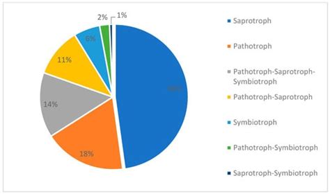 Root-Associated Endophytic and Mycorrhizal Fungi from the Epiphytic ...